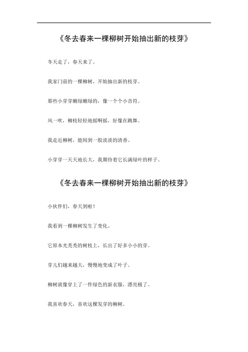 冬去春来一棵柳树开始抽出新的枝芽作文