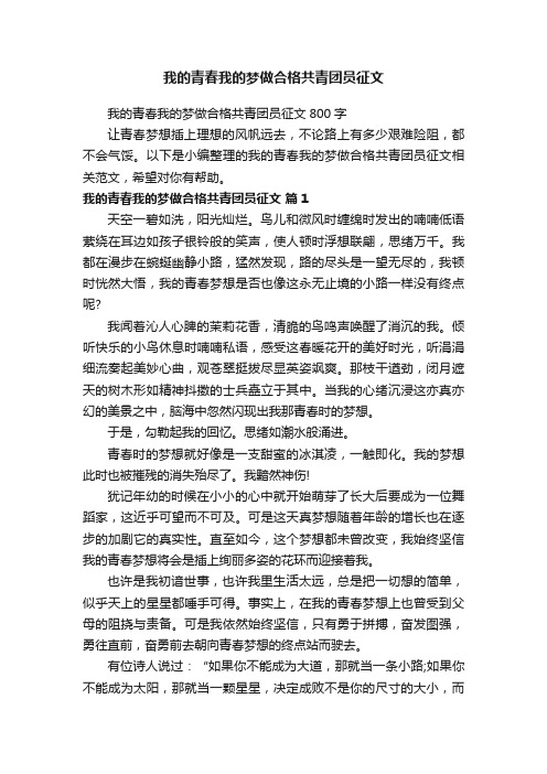 我的青春我的梦做合格共青团员征文800字