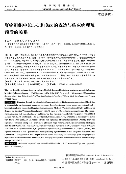 肝癌组织中Mcl-1和Bax的表达与临床病理及预后的关系