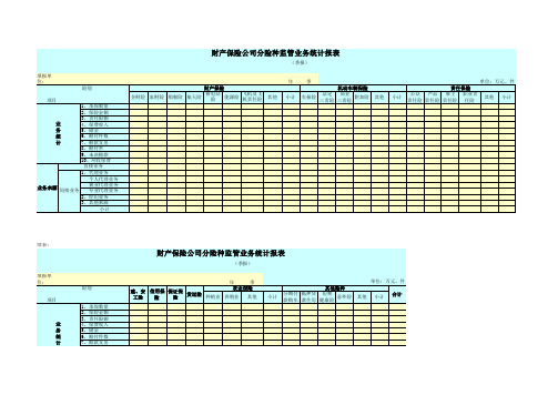 财产保险公司分险种监管业务统计报表 表格 XLS格式 