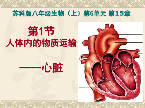 左心室右心房右心室