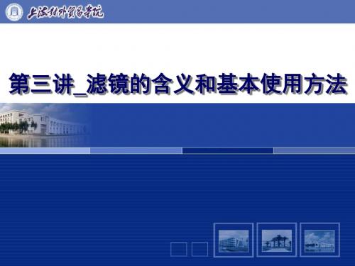 滤镜的含义和基本使用方法-PPT文档资料