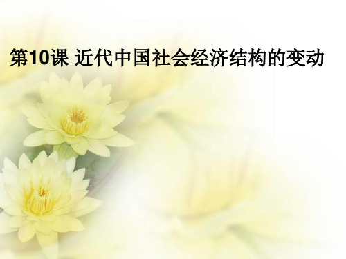 岳麓版高中历史必修二第10课近代中国社会经济结构的变动(4)课件(共23张PPT)