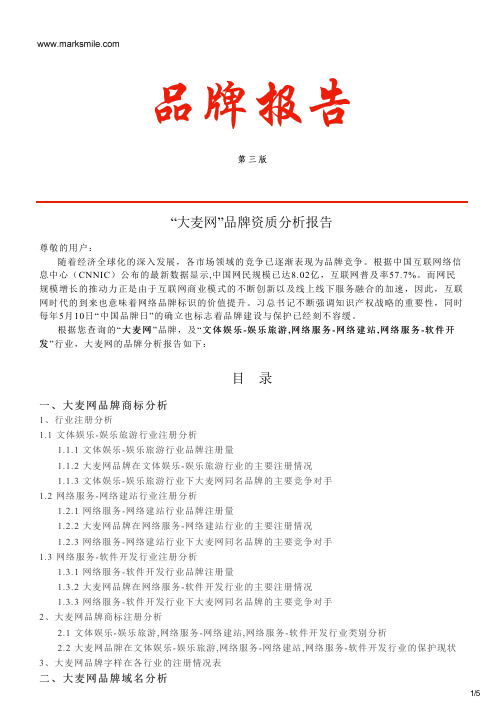 大麦网的品牌资质分析报告