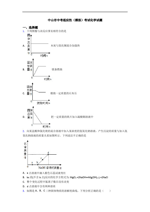 中山市中考适应性(模拟)考试化学试题