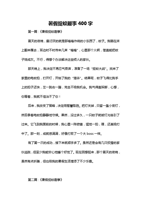 暑假捉蚊趣事400字