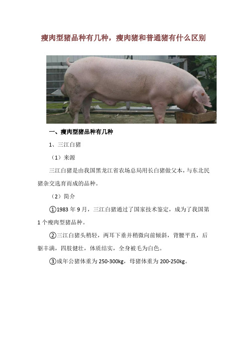 瘦肉型猪品种有几种,瘦肉猪和普通猪有什么区别