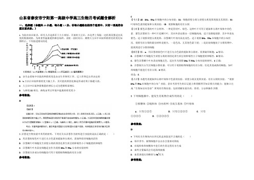 山东省泰安市宁阳第一高级中学高三生物月考试题含解析