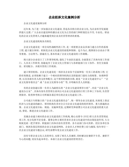 企业组织文化案例分析