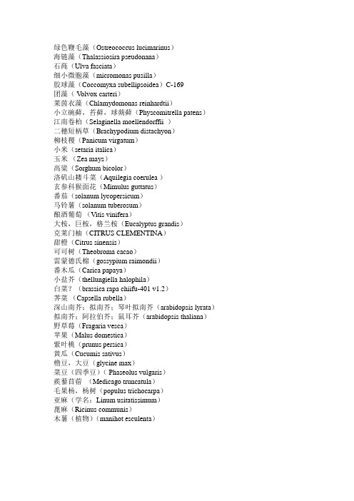 常用实验植物中文名拉丁名对照