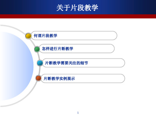 如何进行片段教学ppt课件