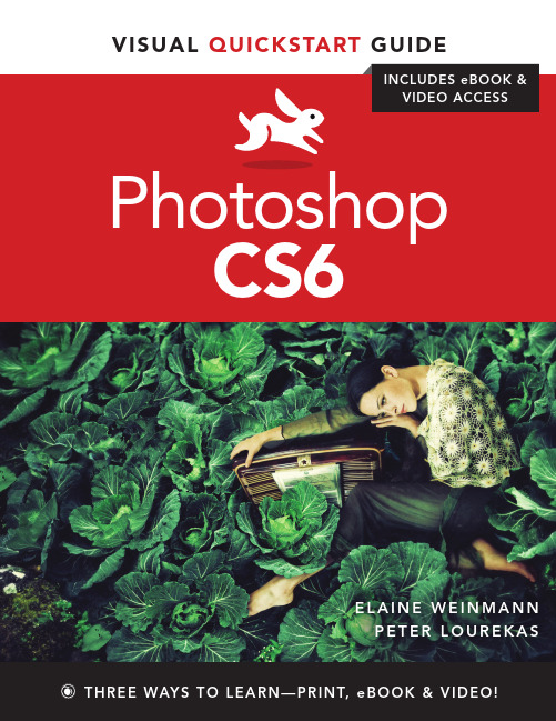 Photoshop CS6：可视快速入门指南说明书