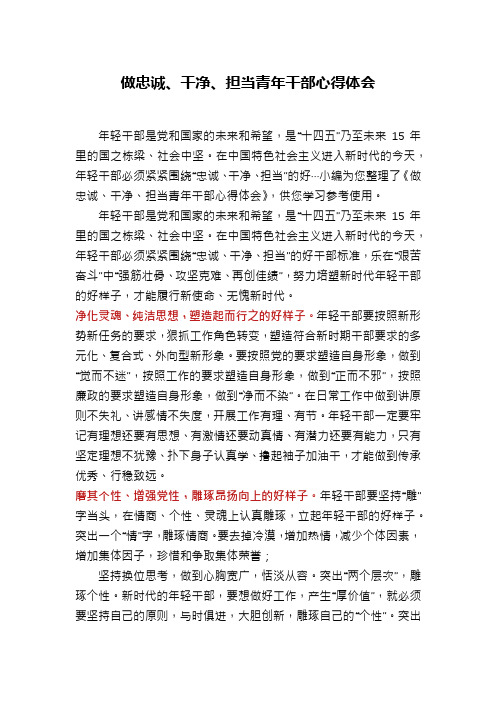 做忠诚、干净、担当青年干部心得体会