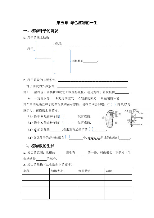 第五章 绿色植物的一生(清单)