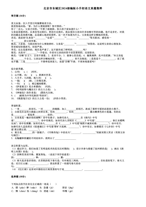 北京市东城区2024部编版小升初语文真题集粹