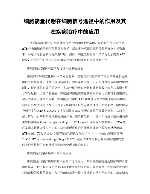 细胞能量代谢在细胞信号途径中的作用及其在疾病治疗中的应用