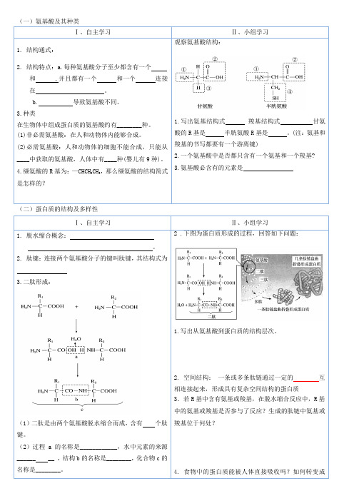 氨基酸及其种类