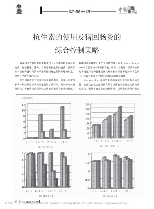 抗生素的使用及猪回肠炎的综合控制策略