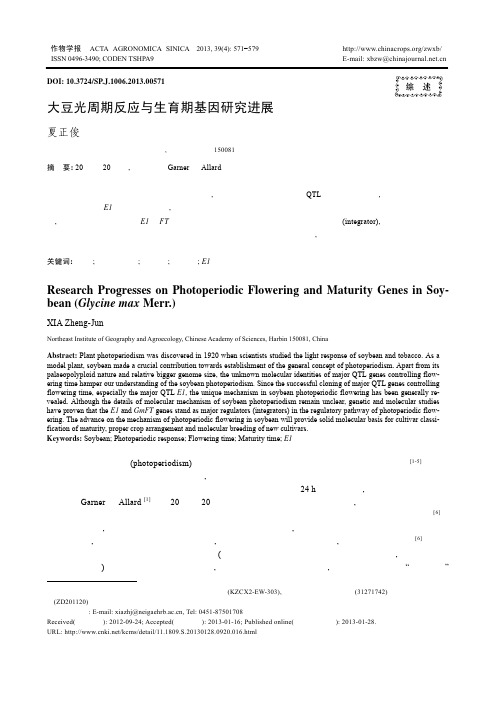 大豆光周期反应与生育期基因研究进展