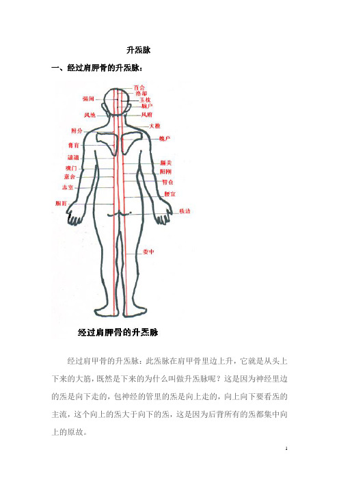 小脑炁脉