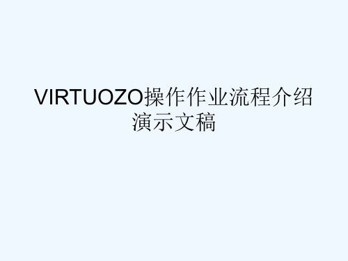 VIRTUOZO操作作业流程介绍演示文稿