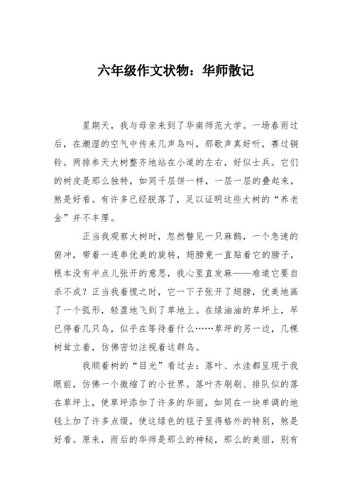 六年级作文状物：华师散记