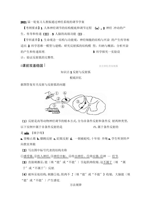 2020届高中生物一轮复习人教版通过神经系统的调节学案