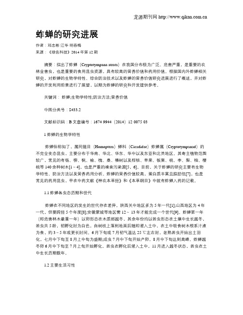 蚱蝉的研究进展