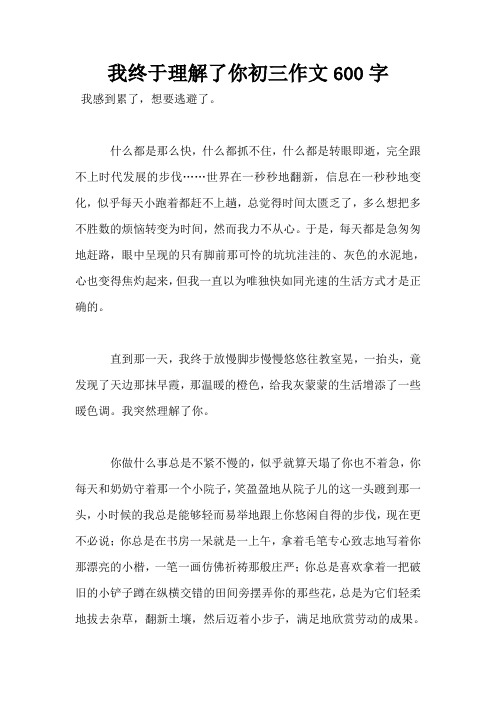 我终于理解了你初三作文600字