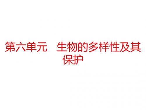 2019年中考生物总复习课件：第六单元   生物的多样性及其保护(共33张PPT)