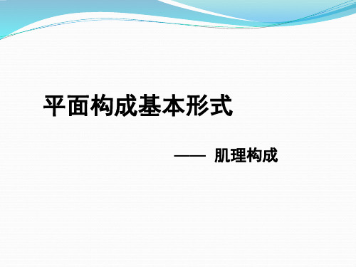 05平面构成基本形式(肌理构成)