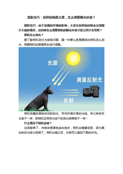 摄影技巧：拍照时画面太黑，怎么调整曝光补偿？