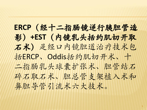 ercpest取石术PPT课件