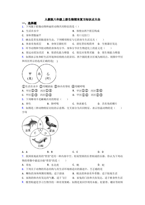 人教版八年级上册生物期末复习知识点大全