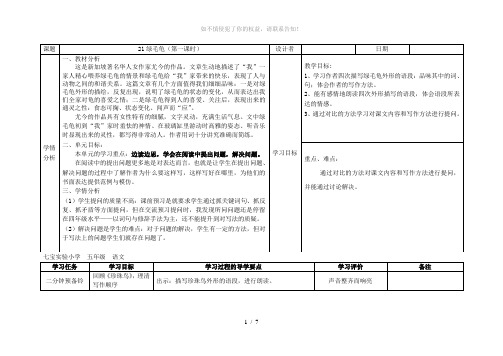 21。绿毛龟(第一课时)(参考模板)