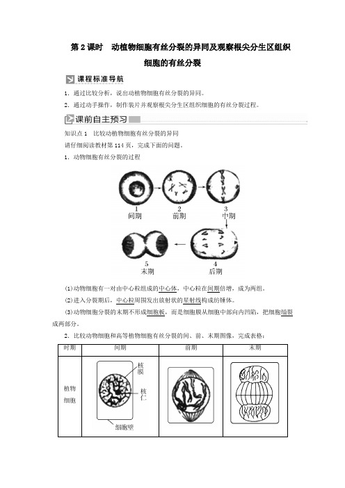 新教材高中生物6_1_2动植物细胞有丝分裂的异同及观察根尖分生区组织细胞的有丝分裂教学案新人教版必修1