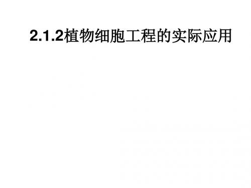 高二生物植物细胞工程的实际应用