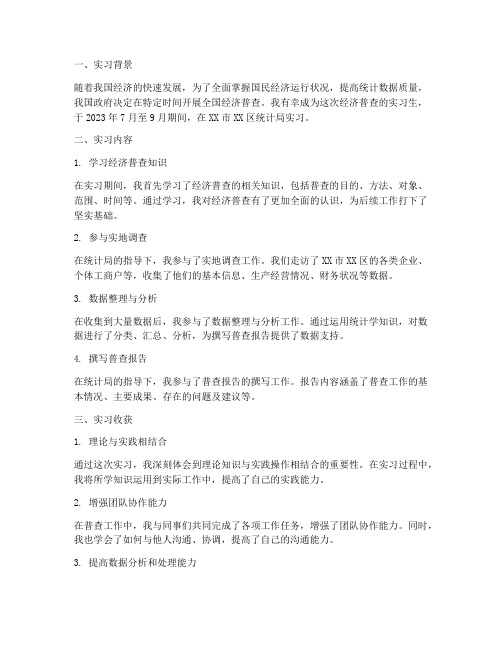 经济普查实习生实习报告