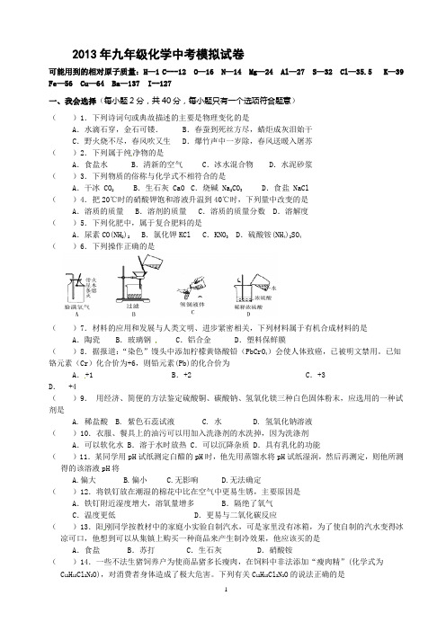 2013年九年级化学中考模拟试卷