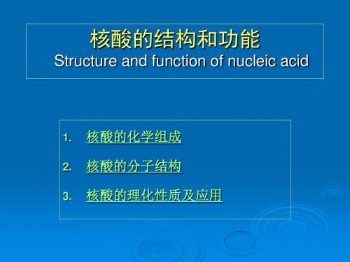 核酸的结构和功能Structureandfunctionofnucleicacid-生物化学