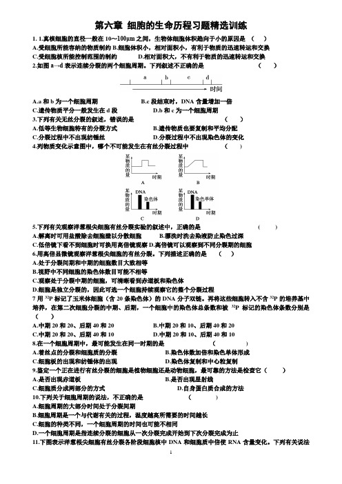 (完整版)细胞的生命历程习题精选训练(含答案)