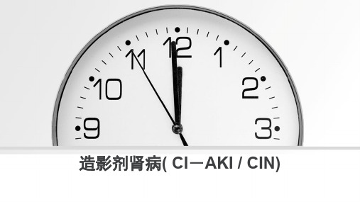 造影剂肾病( CI-AKI  CIN)---PPT精品课件