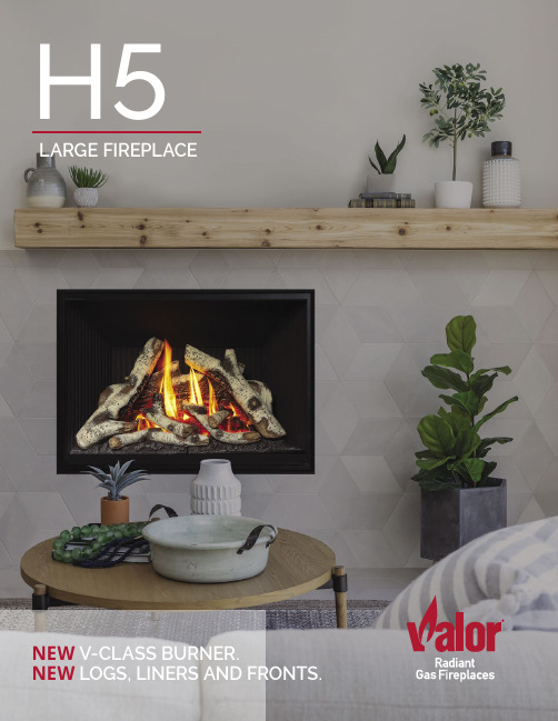 LARGE FIREPLACE H5 V-CLASS BURNER商品说明书