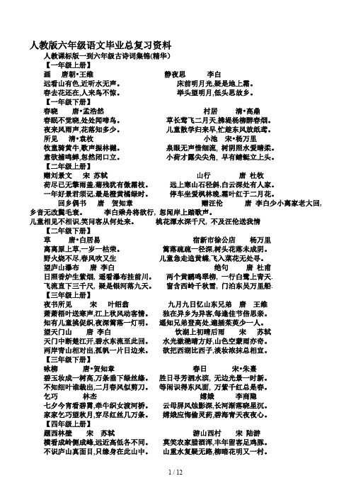 人教版六年级语文毕业总复习资料