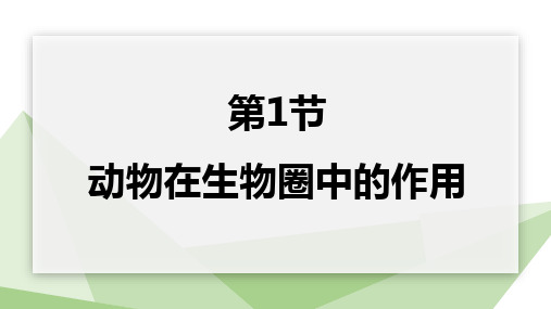 动物在生物圈中的作用ppt课件