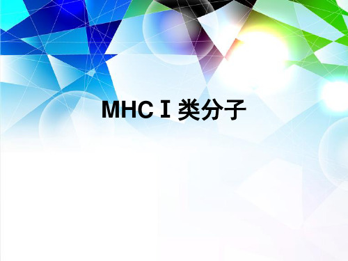 mhc_I类分子