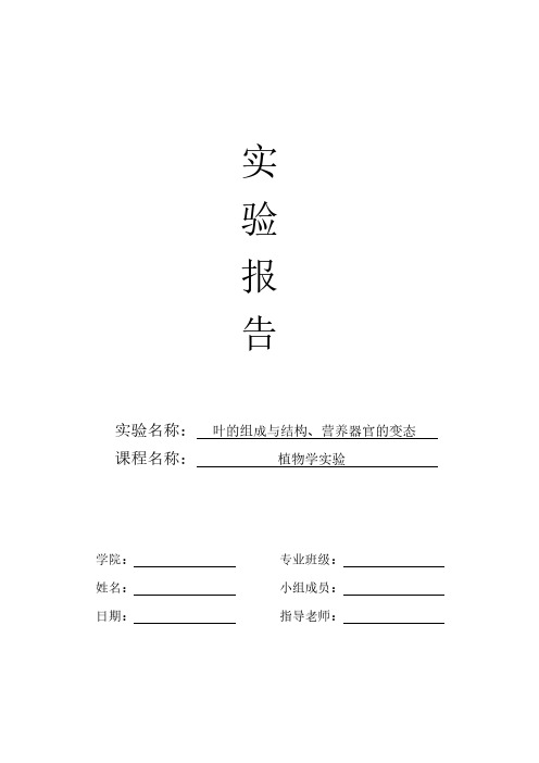 植物学实验报告—叶的组成与结构、营养器官的变态