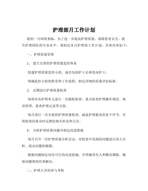 护理部月工作计划