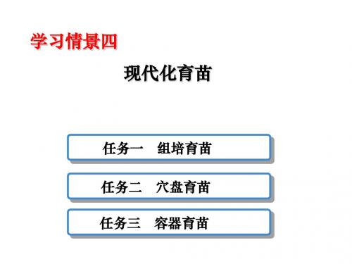 园林苗圃四  现代化育苗