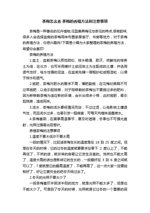 茶梅怎么养茶梅的养植方法和注意事项